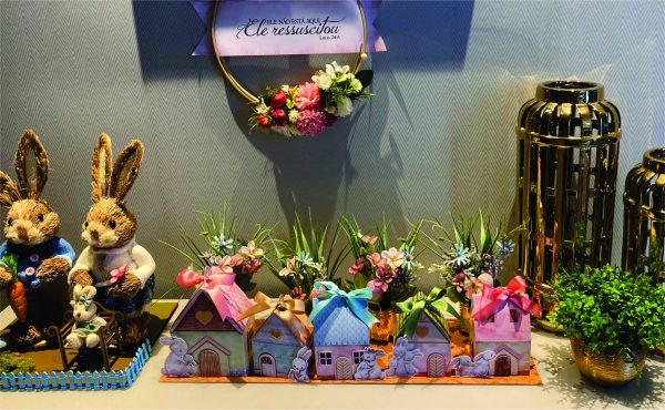 Bunny Village - Casinhas para Vila dos Coelhos - Image 11